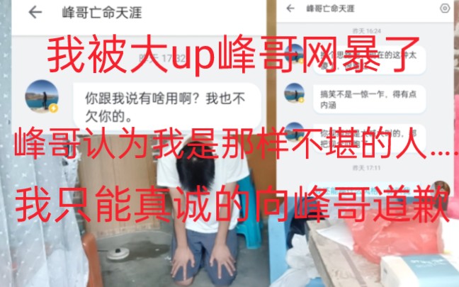 我遭到大Up主的网暴,我真诚的向峰哥道歉!哔哩哔哩bilibili