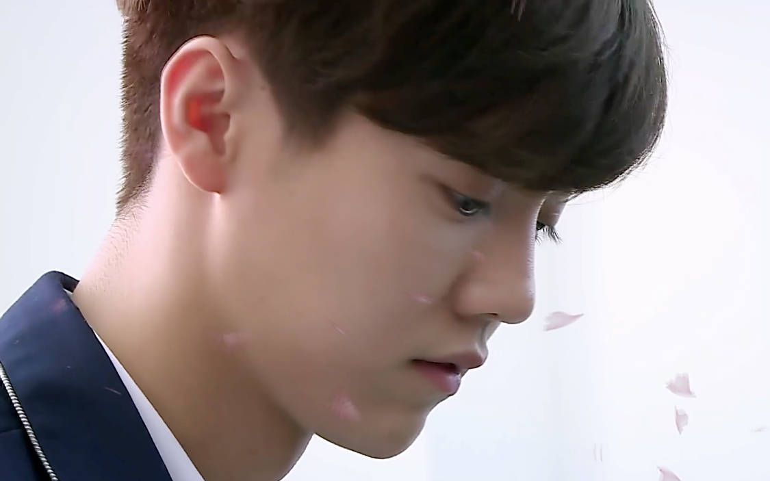 重返十七岁-art--鹿晗,陈嘉桦,大张伟,张丹峰,潘玮柏,刘敏涛--art-4e