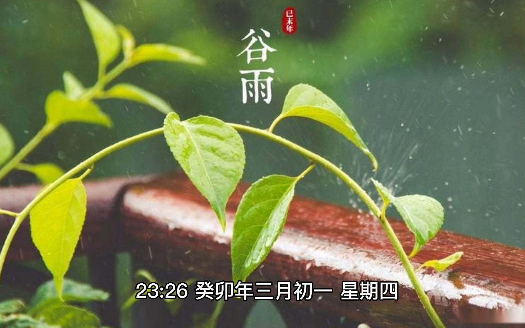 【美文共赏】谷雨 雨生百谷,生机盎然,万物皆美好哔哩哔哩bilibili