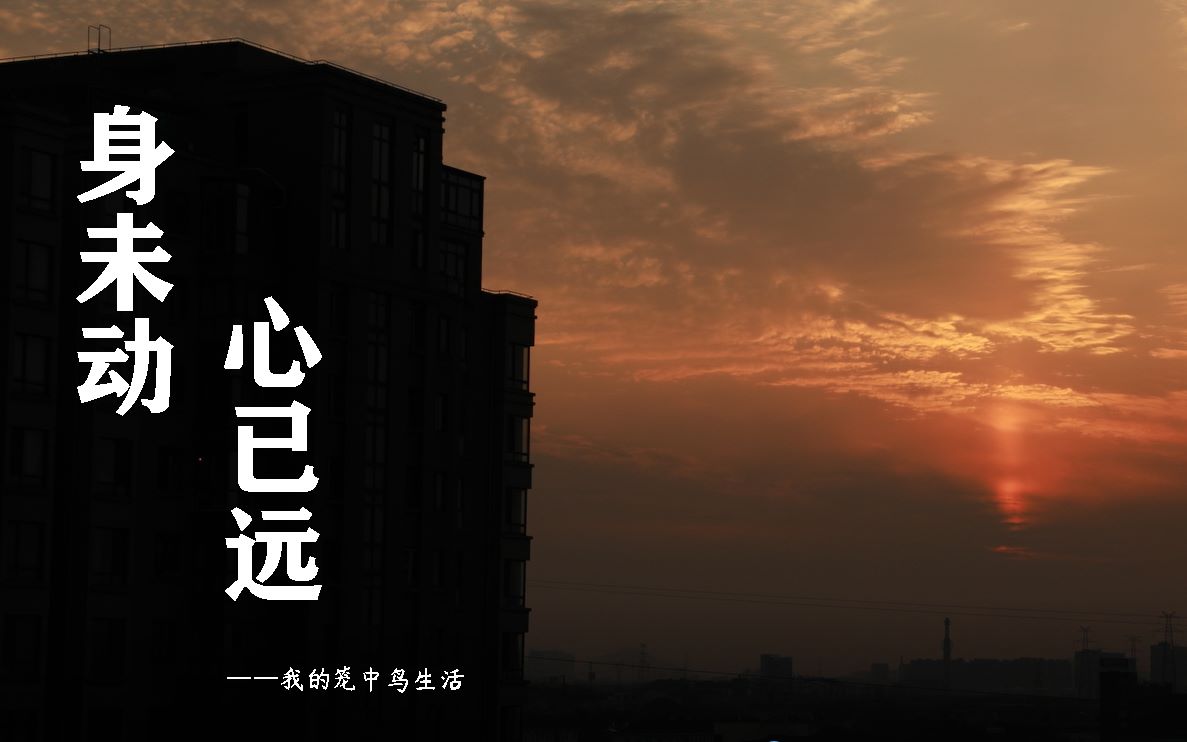 【身未动心已远】疫情期间家中航拍与延时