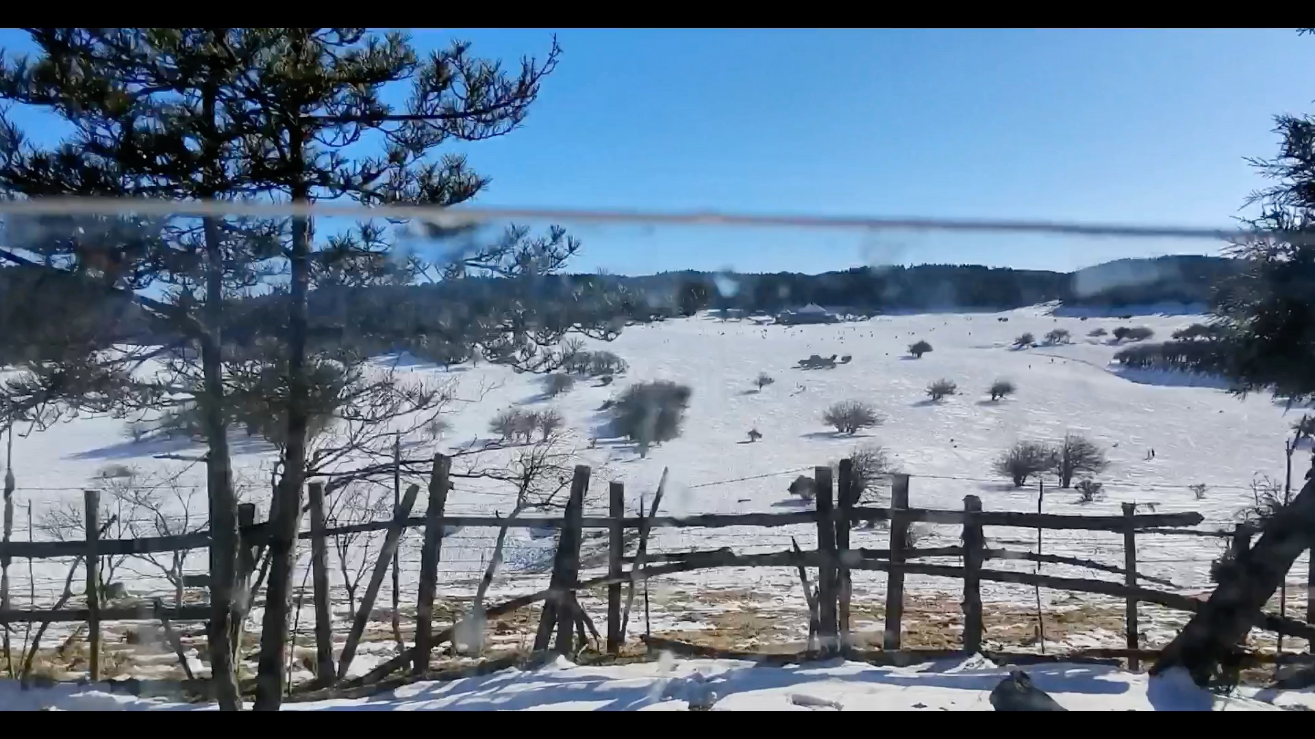 为什么说仙女山是重庆最适合看雪玩雪的景区?哔哩哔哩bilibili