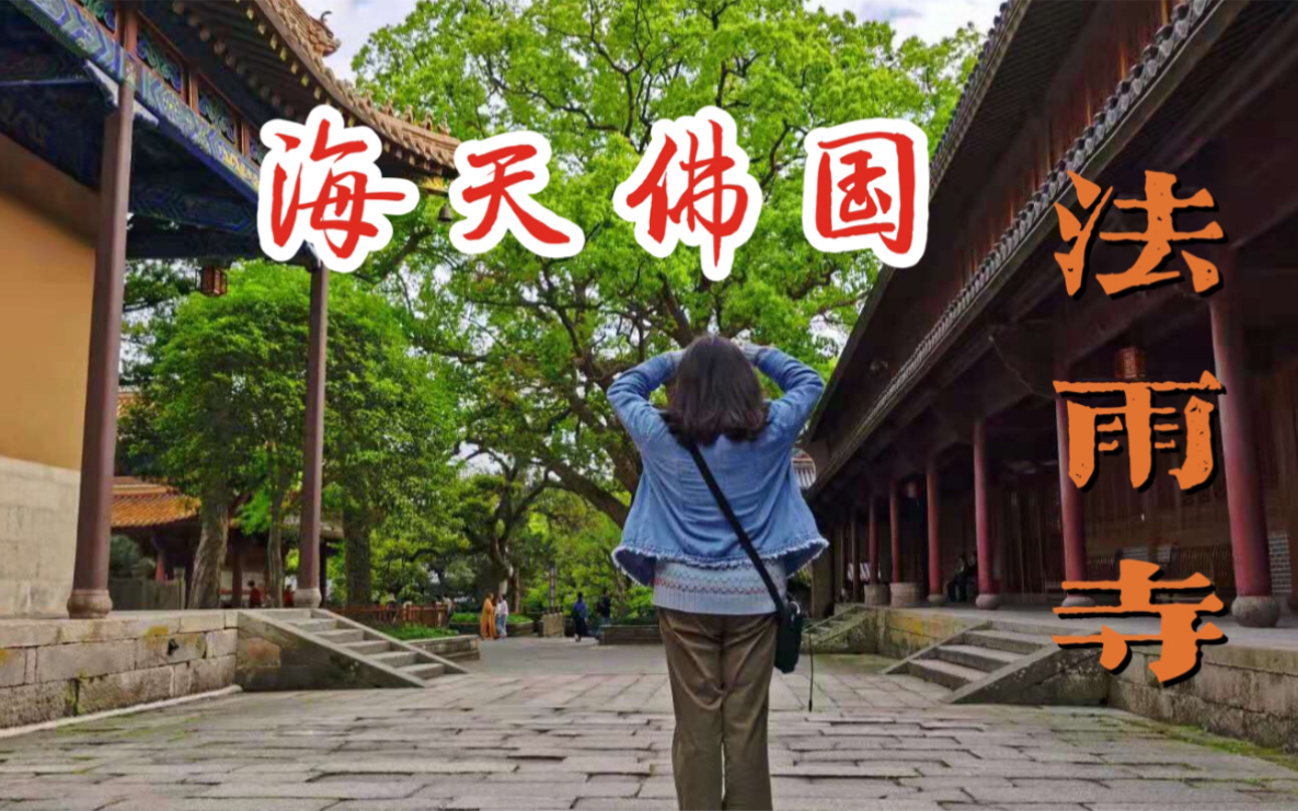 实拍法雨寺,唯一存世的明故宫建筑,国内寺院建筑水平最高殿宇哔哩哔哩bilibili