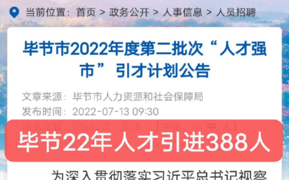 388名!毕节市2022年度第二批次“人才强市” 引才计划出炉#贵州一名教育哔哩哔哩bilibili