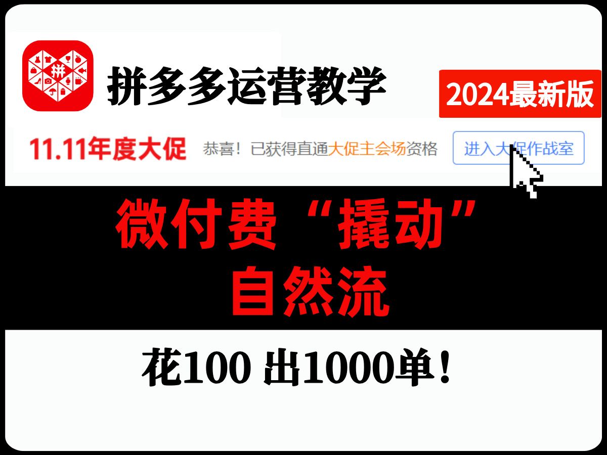 【拼多多运营教学】花100出上1000单以上,利用微付费来拉动自然流量,获得10000+的流量曝光哔哩哔哩bilibili