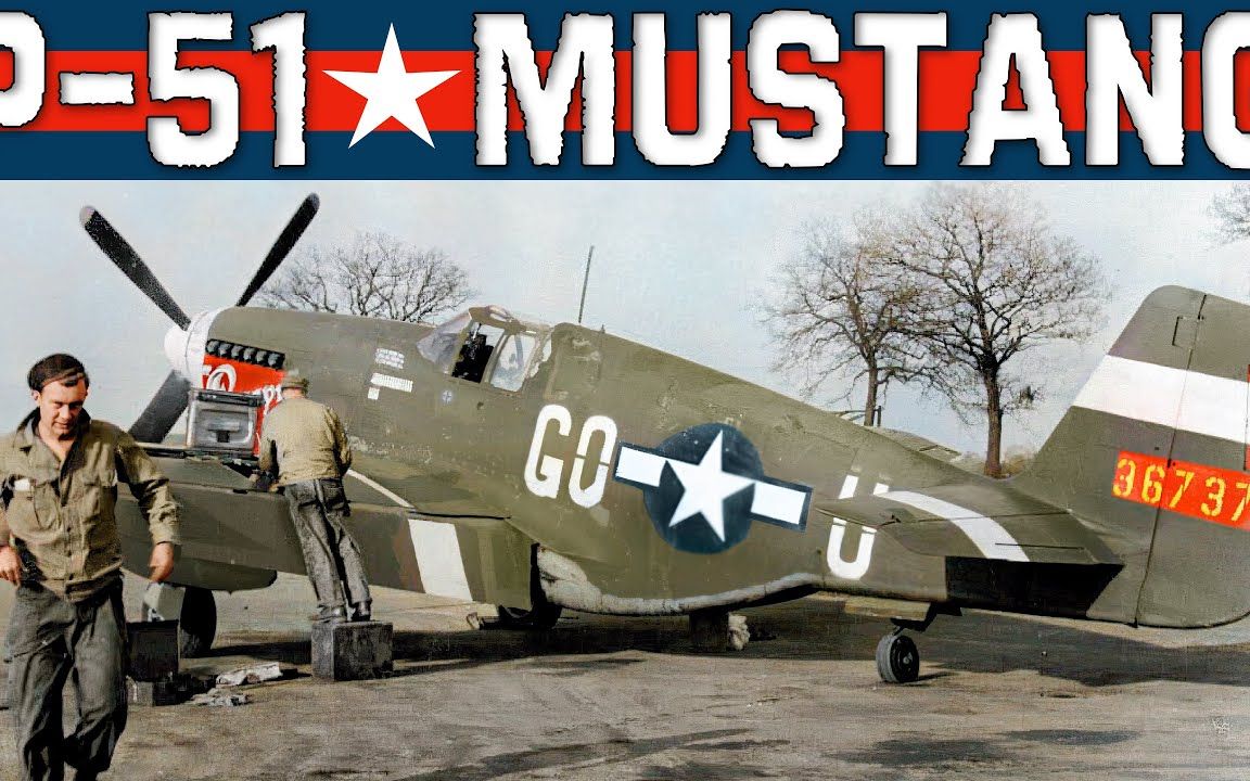 P51 MUSTANG 野马式战斗机 赢得二战的关键(1080P 自动中文字幕)哔哩哔哩bilibili