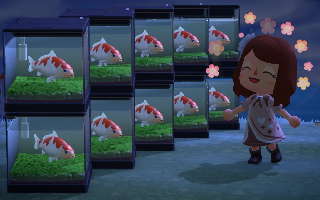 [动物森友会] 三层鲑鱼岛-100%必出鲟鱼 / 终于钓到花羔红点鲑&金鳟