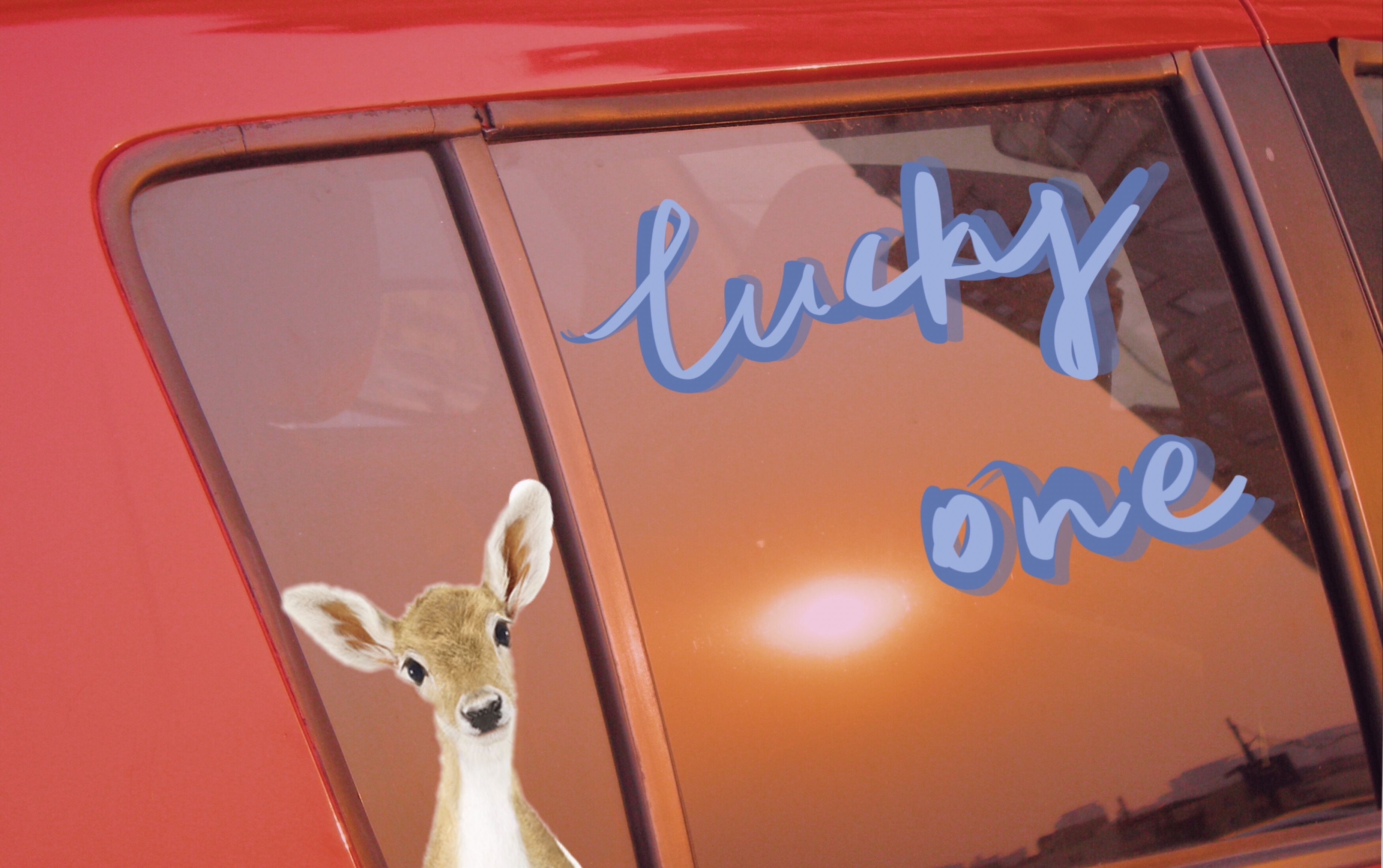 弹唱来听听吧luckyonemichcover