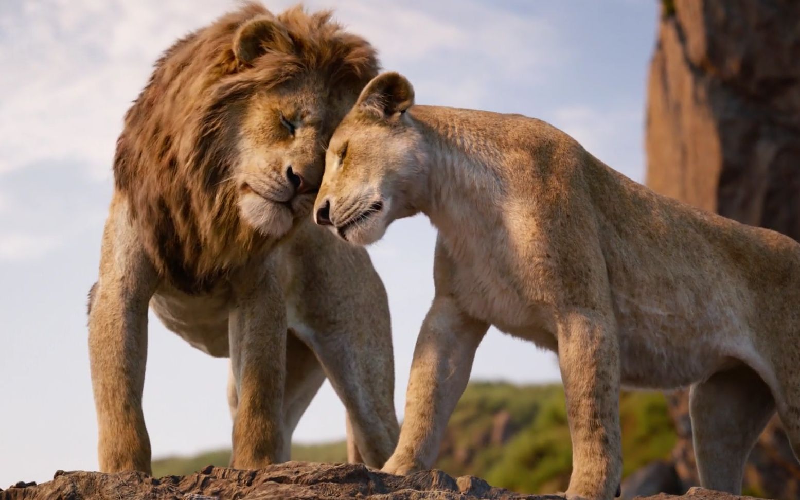 狮子王"真狮版"电影剪辑