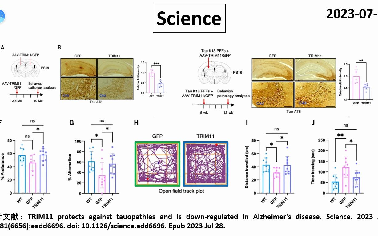 Science—TRIM11蛋白是Tau蛋白病的内源性抑制因子和潜在治疗靶点哔哩哔哩bilibili