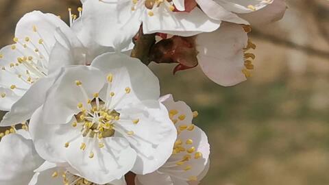 搜索 哔哩哔哩 つロ干杯 Bilibili