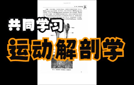 [图]运动解剖学（徐国栋版））