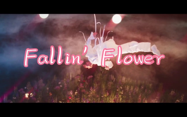 【seventeen】fallin flower 中字