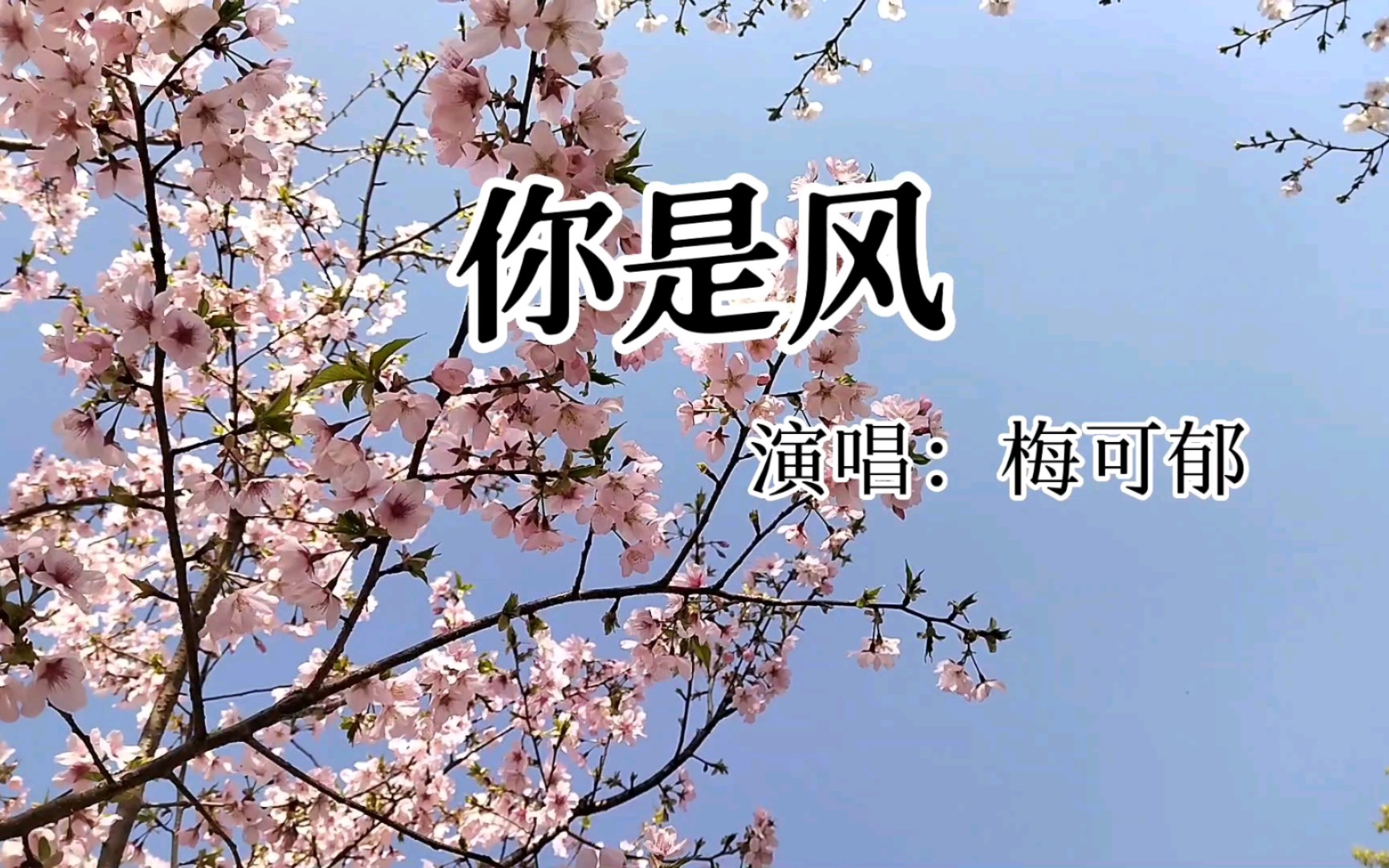 《你是風》梅可鬱#感傷歌曲#你是風,何故驚擾我的夢～一半清醒一半醉