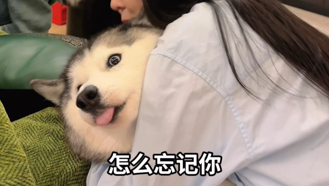 朋友喝多了抱着我的狗唱了一晚上的歌