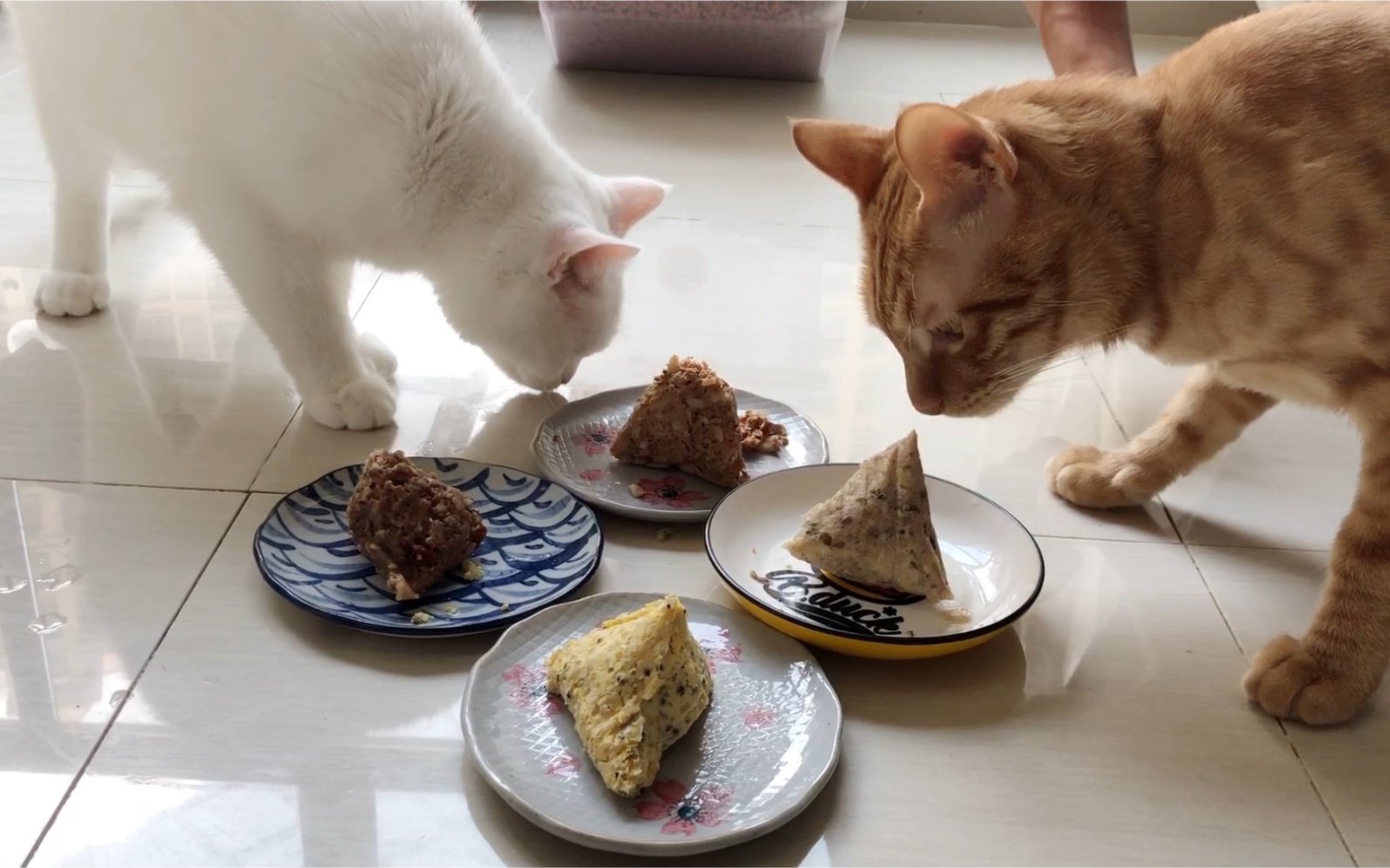 端午节安康!大猫小猫一起吃粽子
