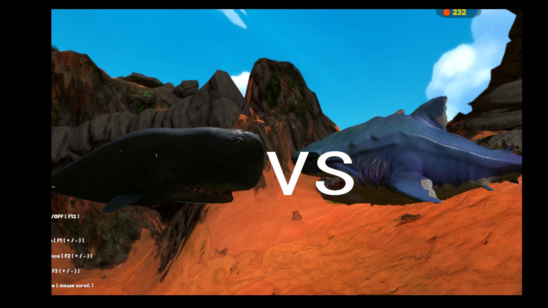 梅尔维尔鲸vs龙王鲸图片