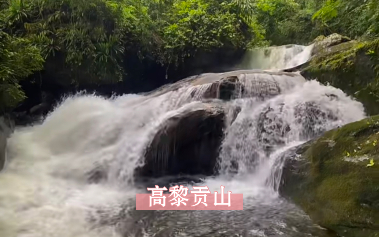 [图]高黎贡山原始森林13km路线，重走徐霞客笔下的“极边之城”探秘山野自然有趣的人生一半是城市摩登烟火