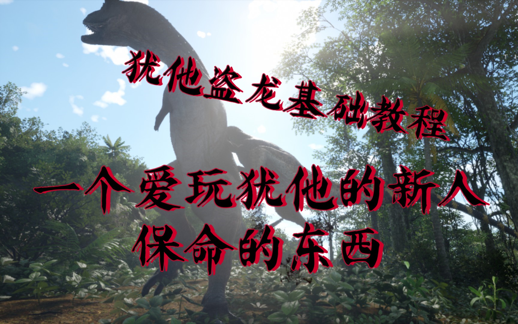 注册账号：创建独一无二的角色