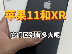 Download Video: 苹果11和苹果XR他们区别有多大呢？