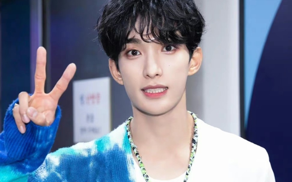 你的小狗已出现【seventeen李硕珉】