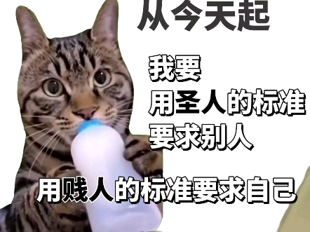 我是猫怼怼,阴阳怪气的怼人表情包!!!哔哩哔哩bilibili