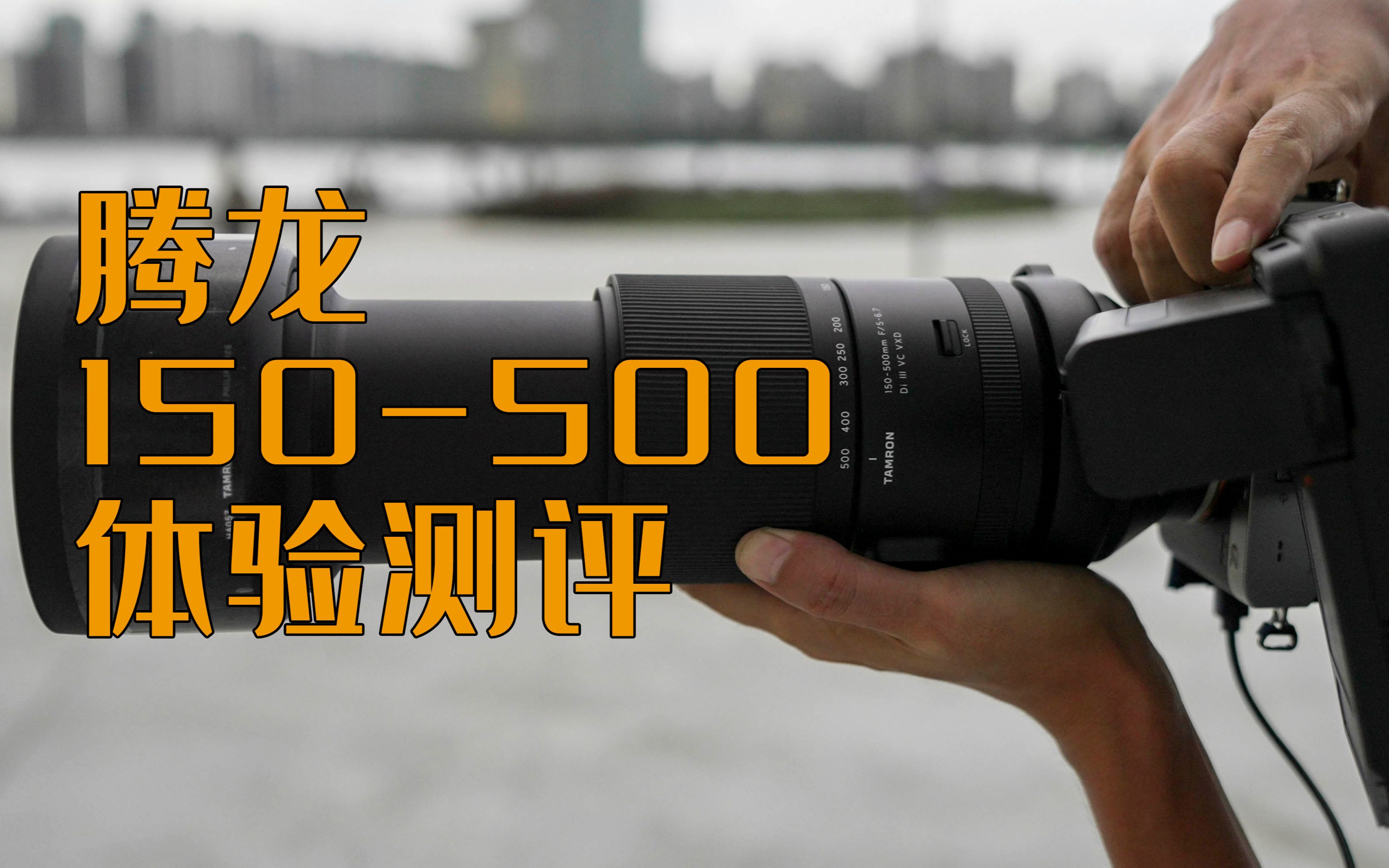 这可能是最具性价比的索尼e卡口长焦镜头腾龙150-500深度体验测评