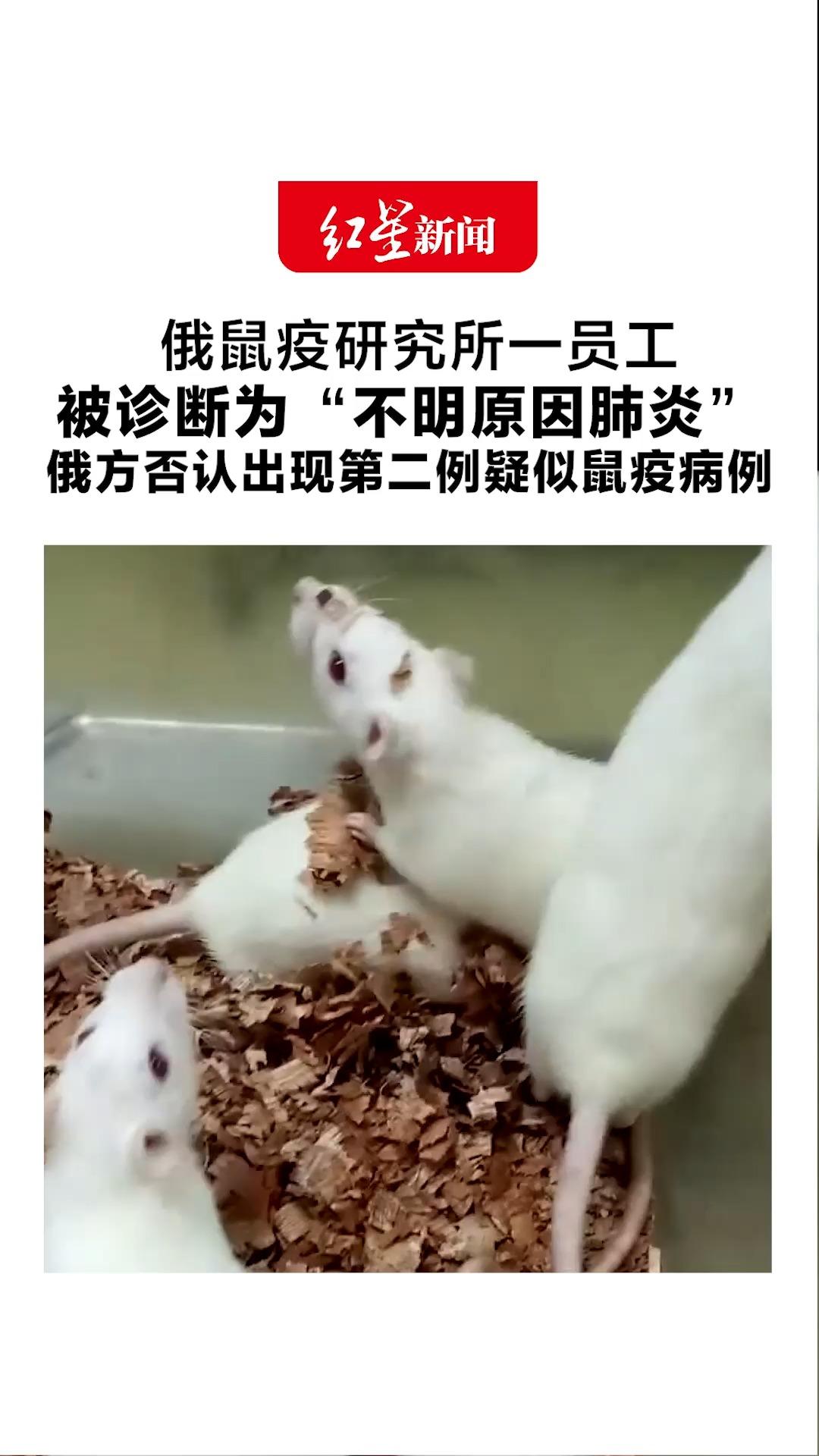 俄鼠疫研究所一员工被诊断为“不明原因肺炎” 俄方否认出现第二例疑似鼠疫病例 “五千次检测未发现危险病原”
