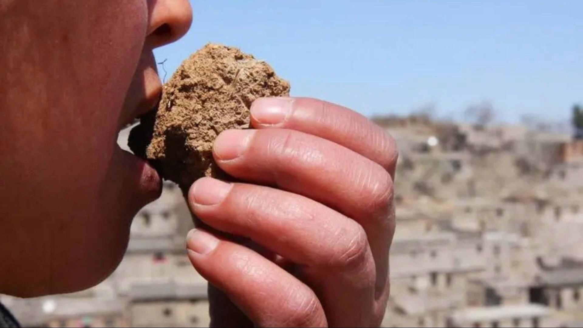 科学家称吃土也能调节肠道