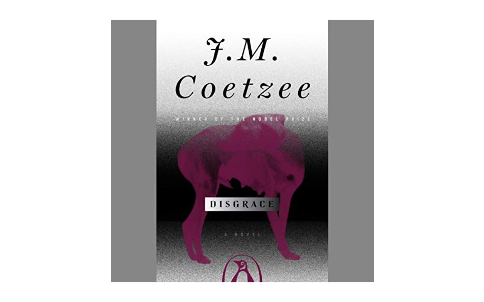 【英文有声书】耻 库切 Disgrace by J. M. Coetzee哔哩哔哩bilibili