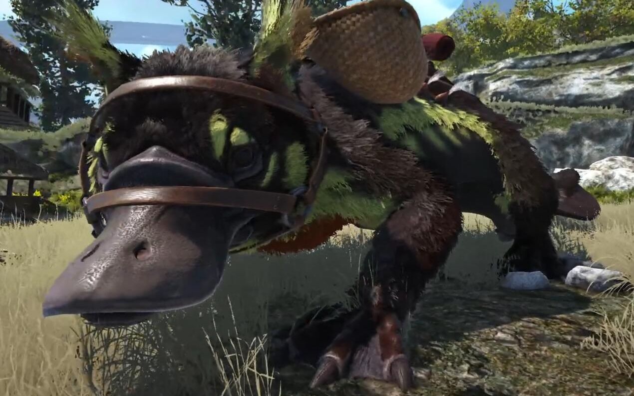 鸭嘴兽maewing捕获完成内含使用说明真是可爱的生物呢方舟生存进化创