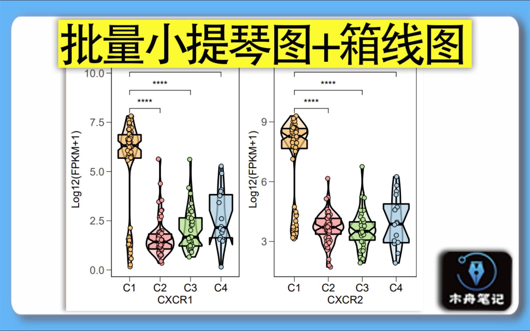 批量小提琴图+箱线图+散点+差异分析哔哩哔哩bilibili