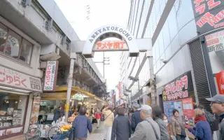 阿美横丁 搜索结果 哔哩哔哩 Bilibili