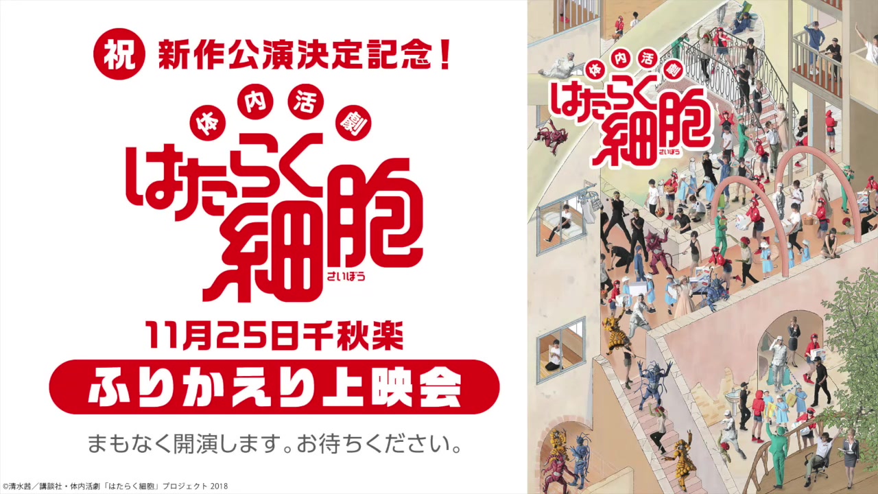 祝 新作公演决定记念 体内活剧「はたらく细胞」11月25日千秋楽 ふりかえり上映会哔哩哔哩bilibili