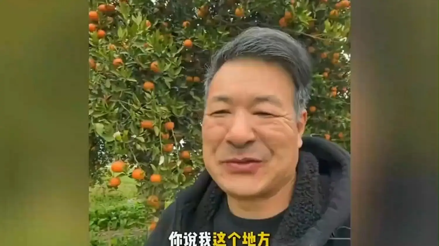 四川的乡情:老人怕偷橘子的人够不着,特意在旁留了梯子_哔哩哔哩_bilibili