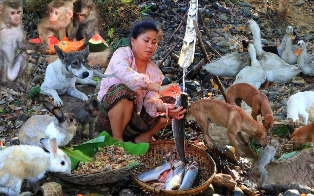 胖大姑在野外的小屋前蒸了胭脂米,还炖了一锅鱼肉吃,味道绝了哔哩哔哩bilibili