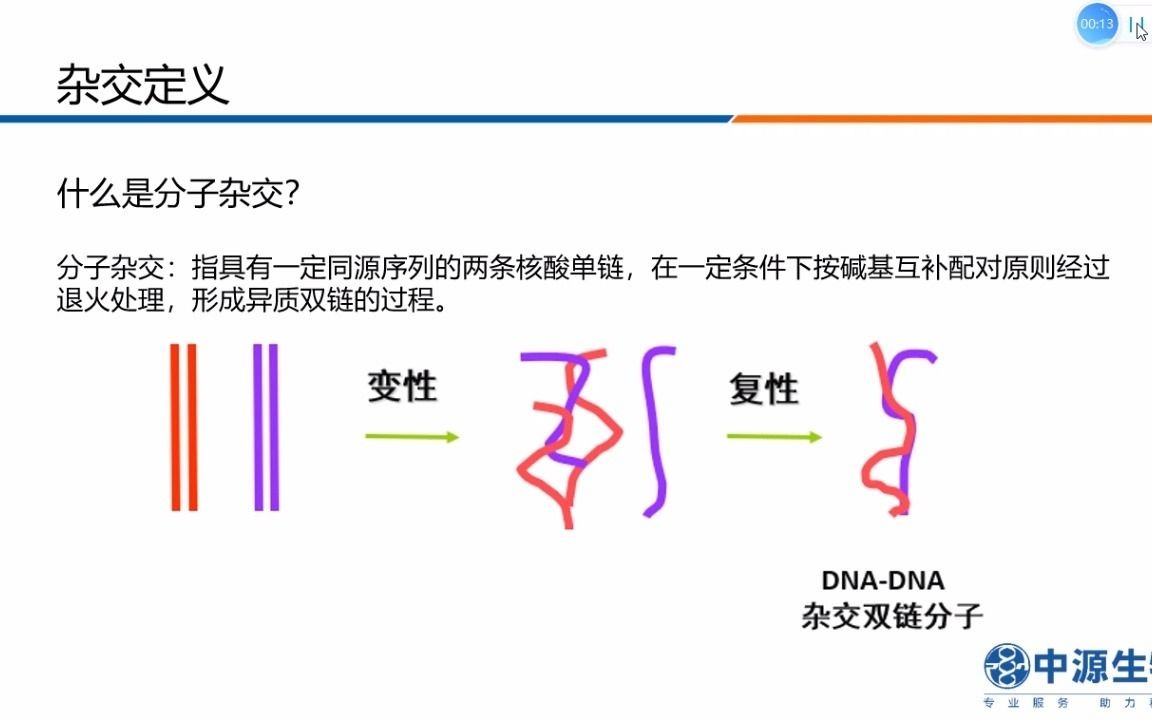 分子杂交定义及操作流程分享哔哩哔哩bilibili