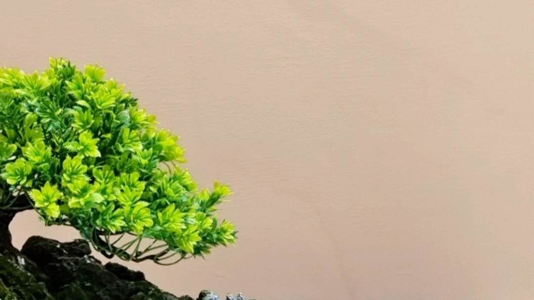 意境深远禅意品味.沉淀内心