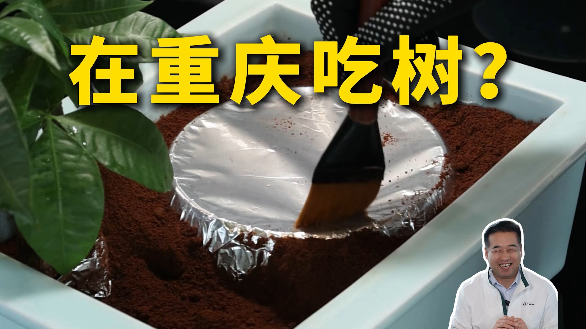 特厨探店|重庆唯一一家连续8年上榜餐厅，味道到底咋样？—于塗