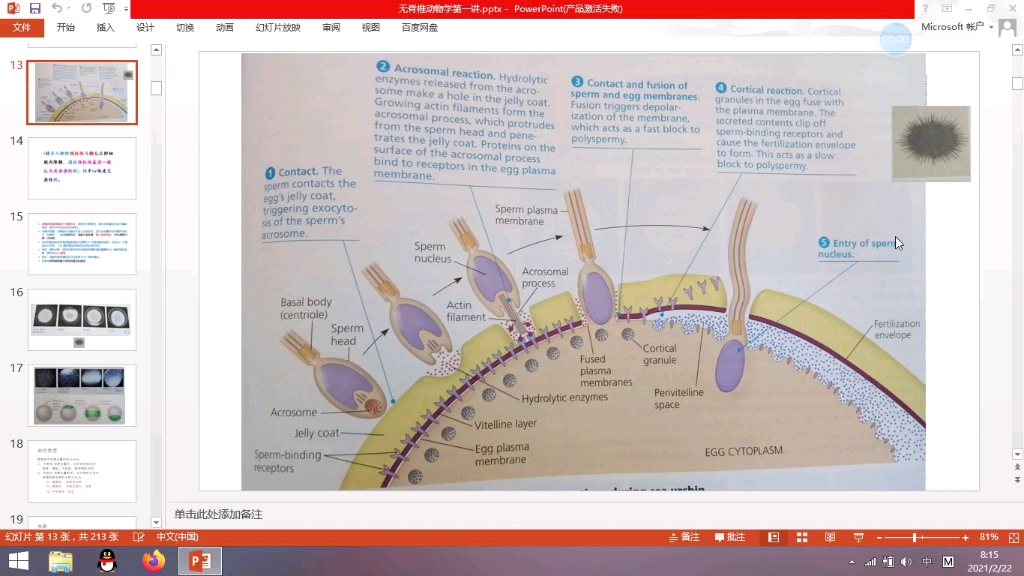 生物奥赛寒假动物学学习2哔哩哔哩bilibili