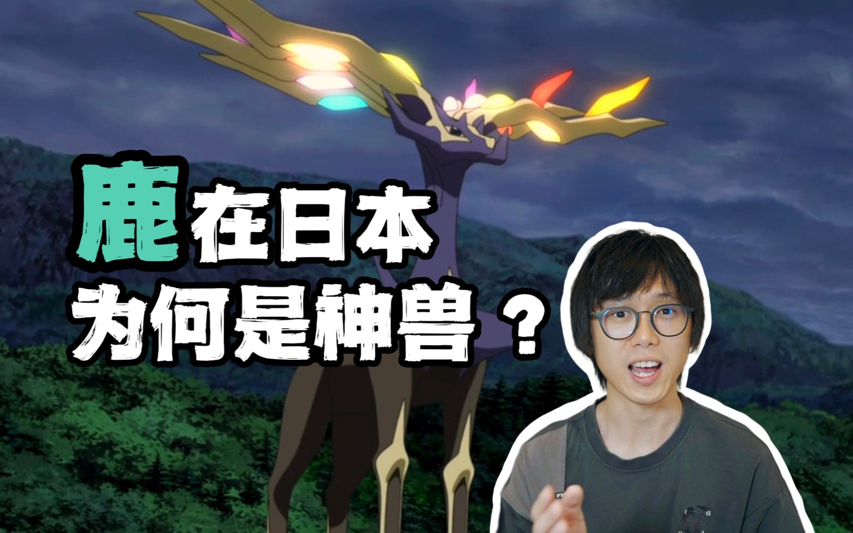 鹿在日本是如何成为神兽的?奈良的那么多鹿是从哪儿来的?哔哩哔哩bilibili