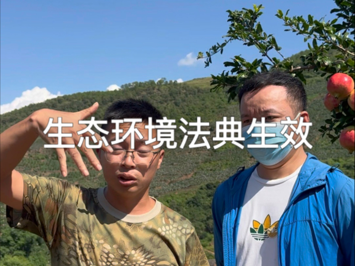 生态环境法典正式生效，环境更美好