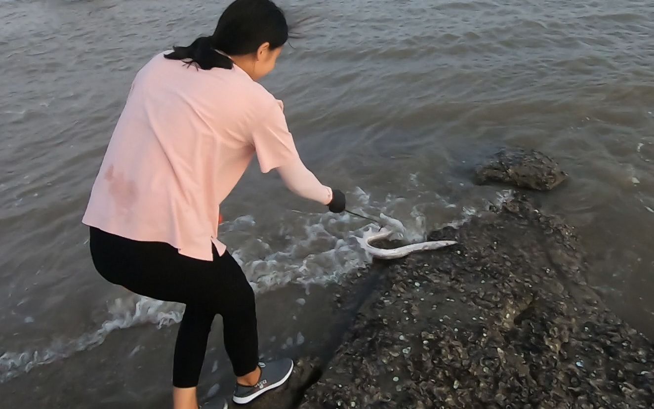 妹子赶海发现白色大怪物,走近抓起来一看,竟然比手臂还粗