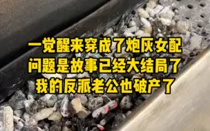 一觉醒来我穿书成为了炮灰女配，问题是故事已经大结局了，我的反派老公此时也已经破产