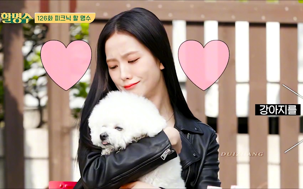 金智秀韩国综艺