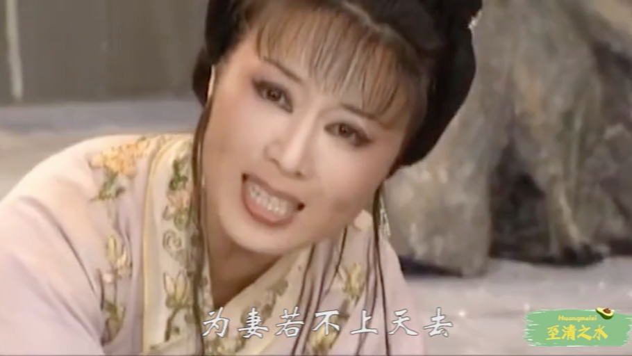 黄梅戏天仙配选段董郎昏迷在荒郊吴琼饰七仙女