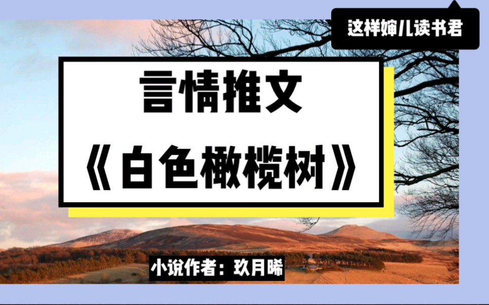 【言情小说推荐】《白色橄榄树》战地记者和维和军人的别样爱情 深情男主最为致命哔哩哔哩bilibili