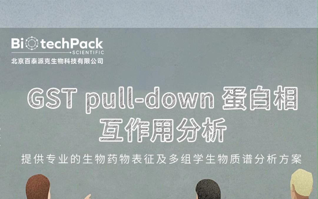 百泰派克生物科技:GST pulldown蛋白相互作用分析哔哩哔哩bilibili