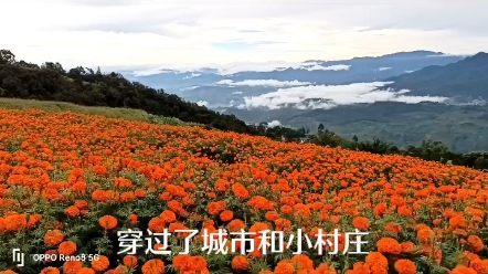 [图]文东佤山