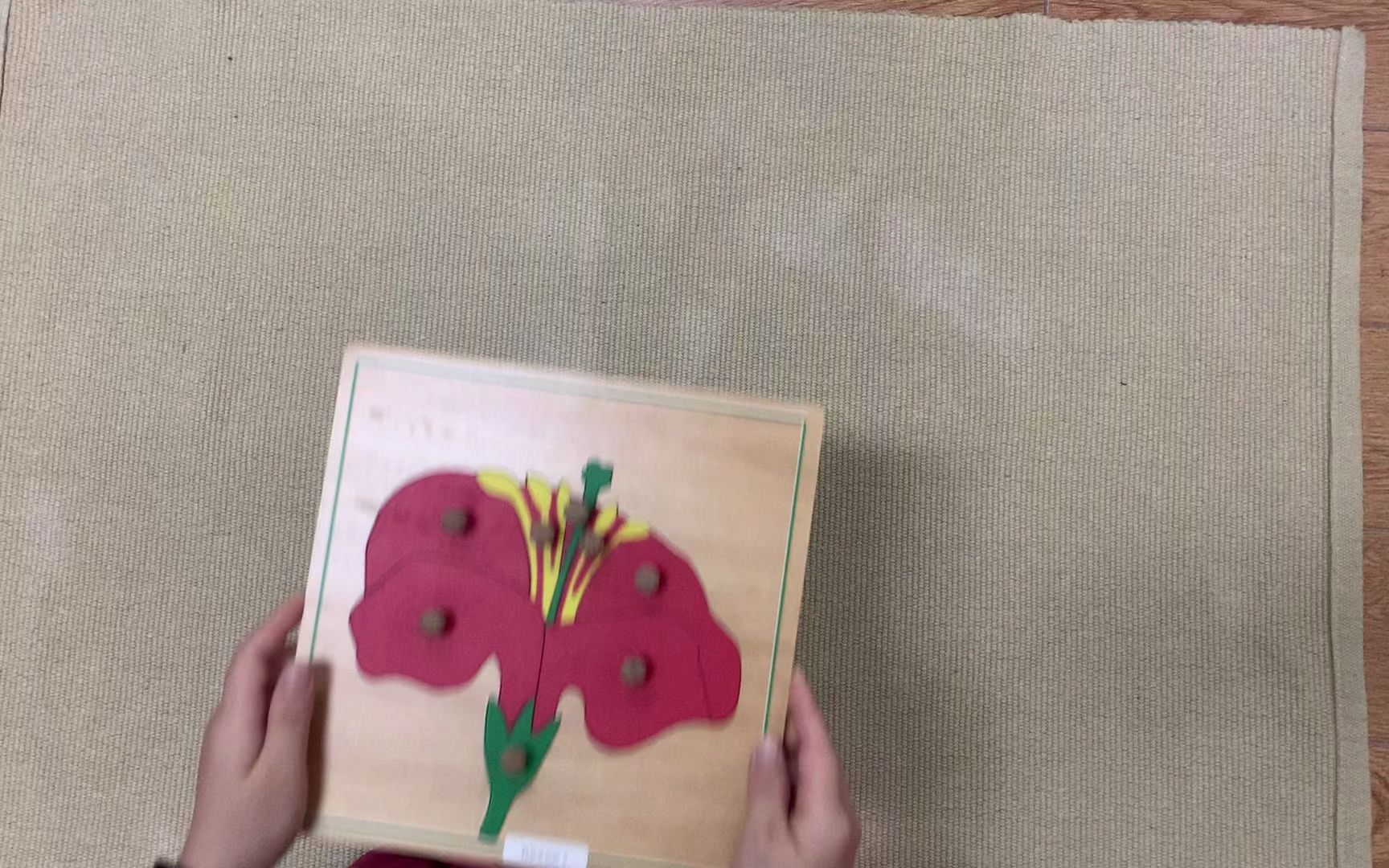 花嵌板(科学区)