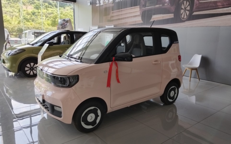 五菱宏光mini(白桃粉),女神搭配,感谢青睐,小可爱马上领回家